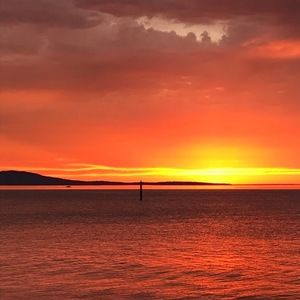 Meet your Posher, Skylar